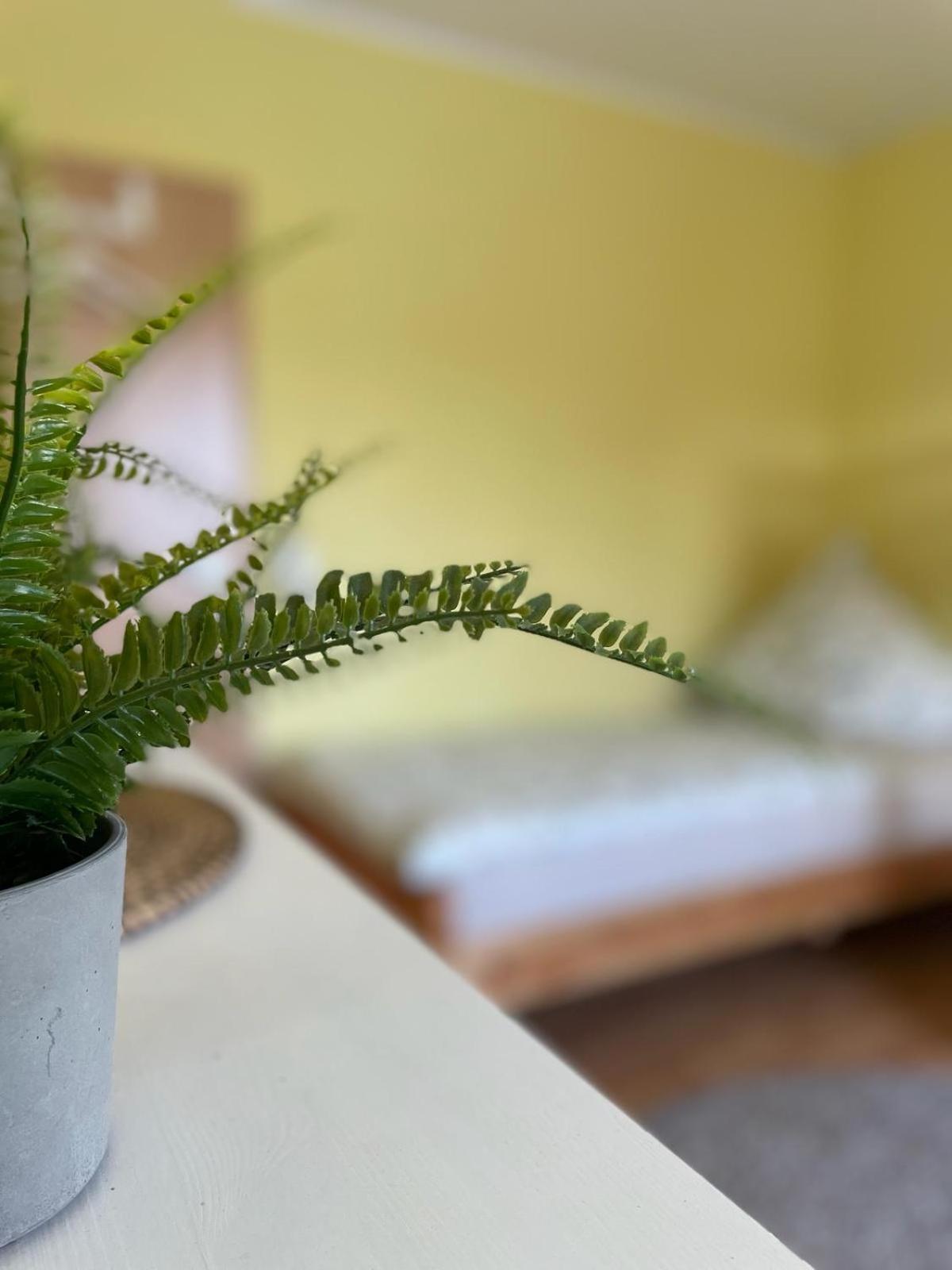 Modernes Apartment Im Gruenen, Mit Park- Und Meer-Naehe Bad Zwischenahn Exteriér fotografie
