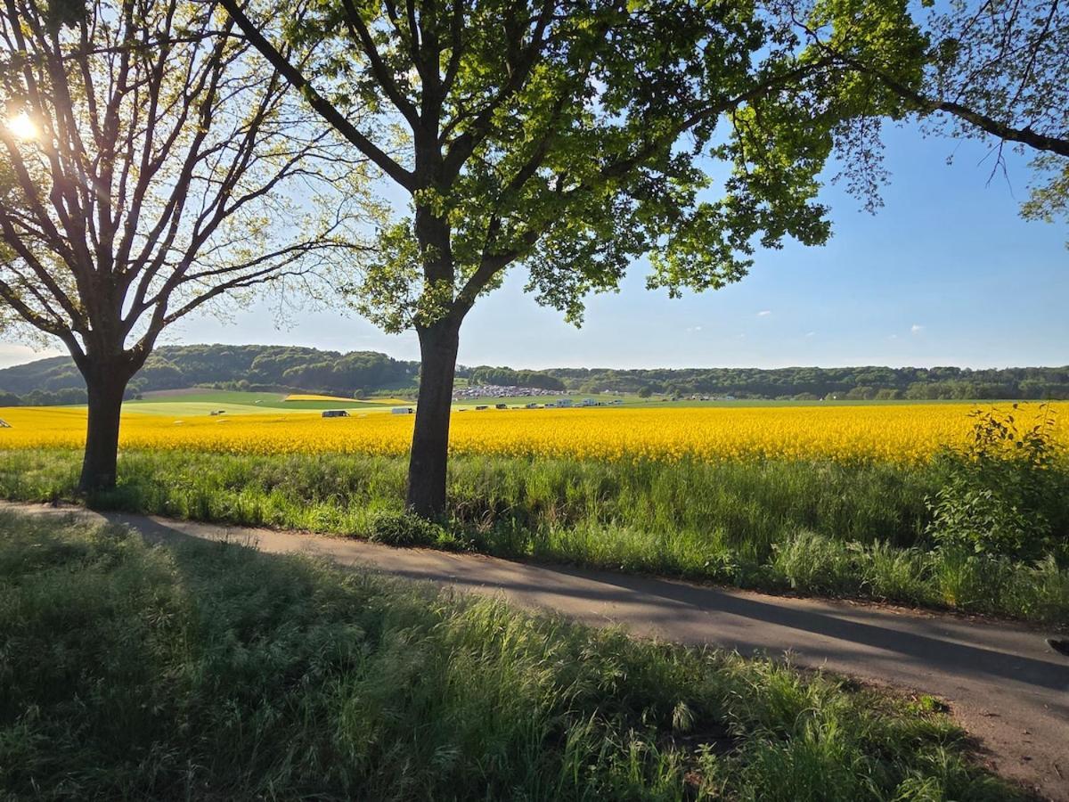 Modernes Apartment Im Gruenen, Mit Park- Und Meer-Naehe Bad Zwischenahn Exteriér fotografie